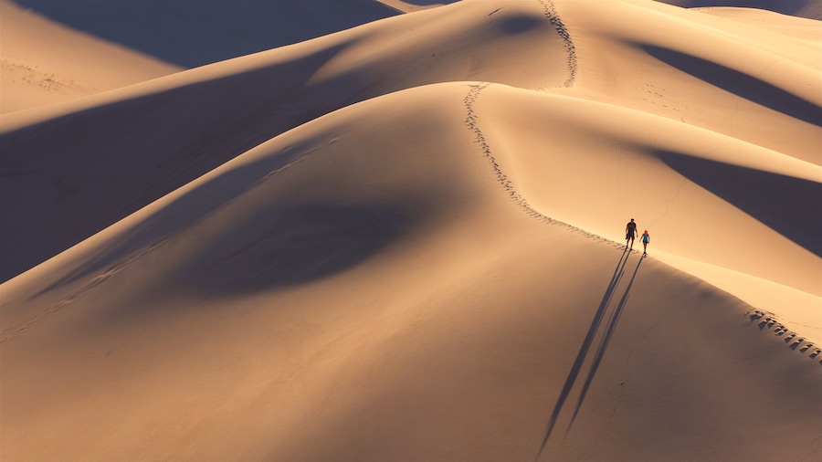 Parque Nacional Great Sand Dunes ofreciendo vistas al desierto y una puesta de sol y también una pareja