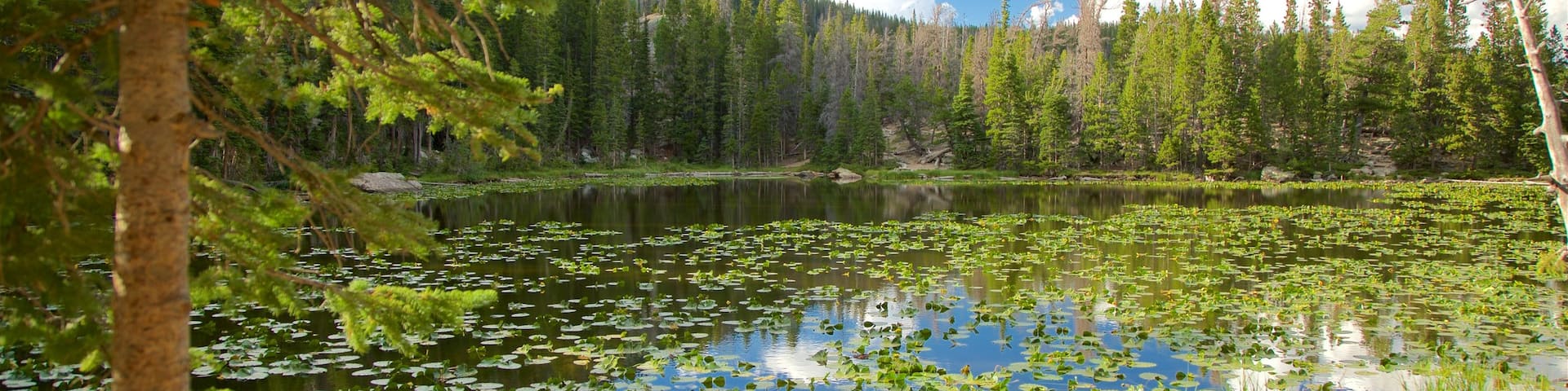 Colorado featuring a pond