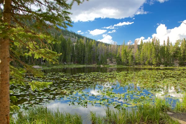 Colorado welches beinhaltet Teich