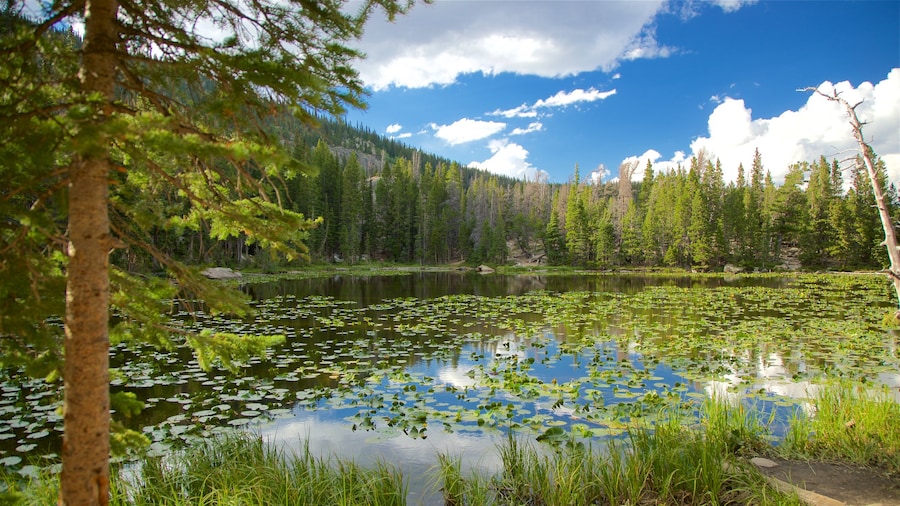Colorado featuring a pond