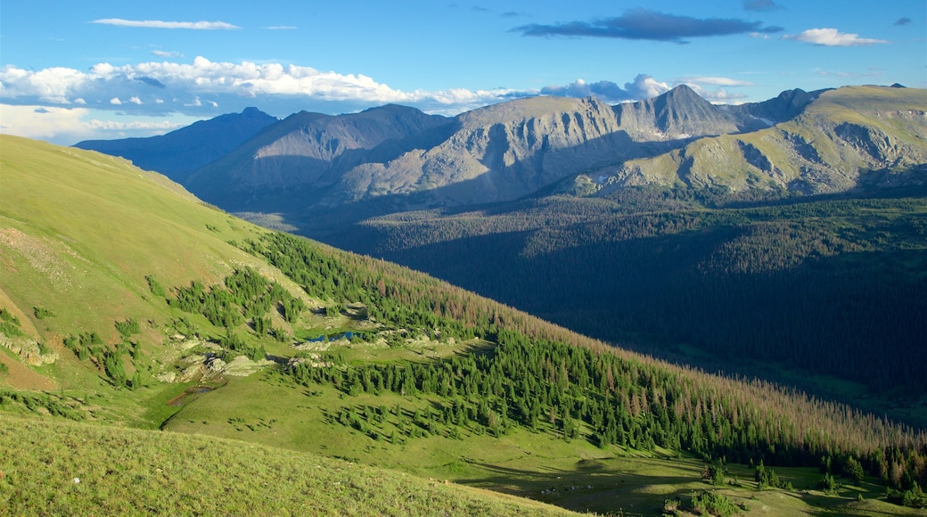 Estes Park mostrando montañas, vista panorámica y escenas tranquilas