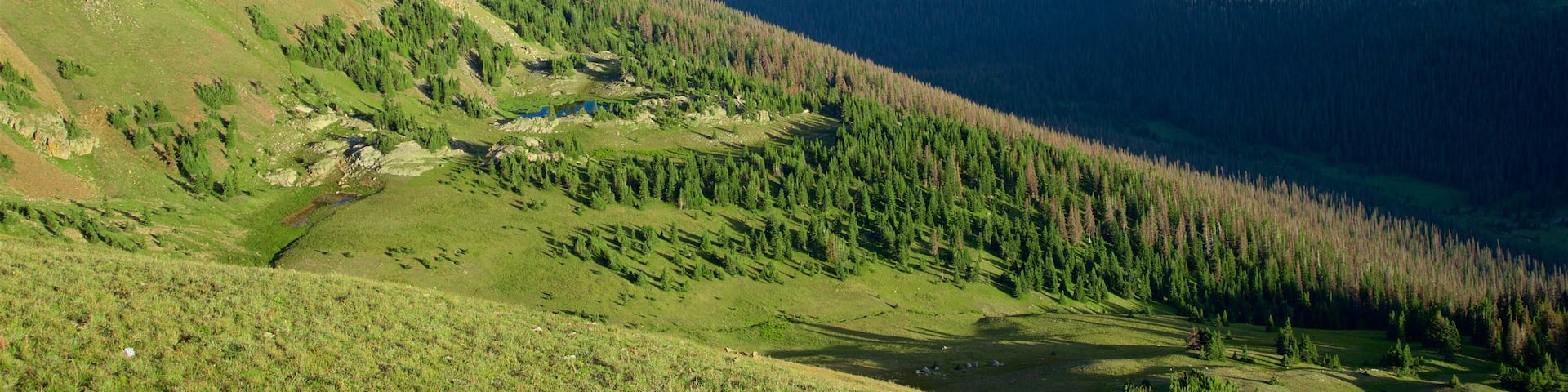 Estes Park featuring tranquil scenes, landscape views and mountains