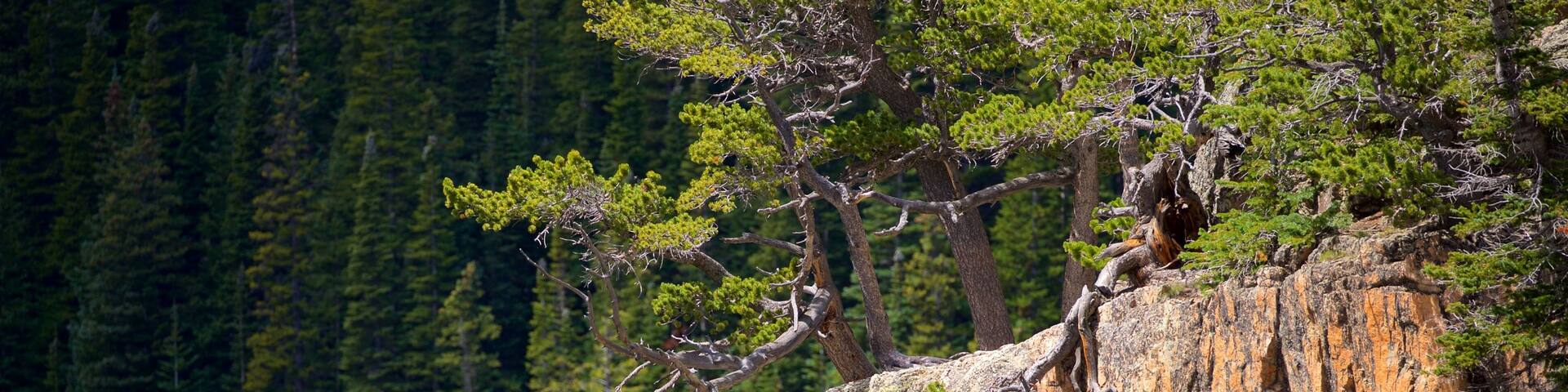 Estes Park featuring a lake or waterhole as well as an individual male