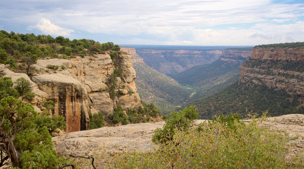Parque Nacional Mesa Verde mostrando escenas tranquilas, un barranco o cañón y vistas de paisajes
