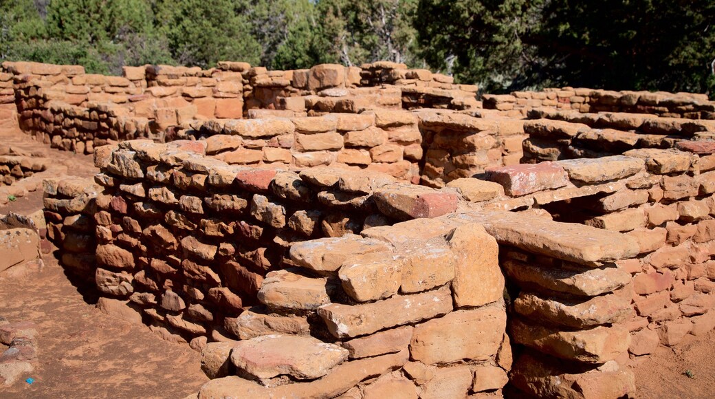 Mesa Verde National Park featuring building ruins