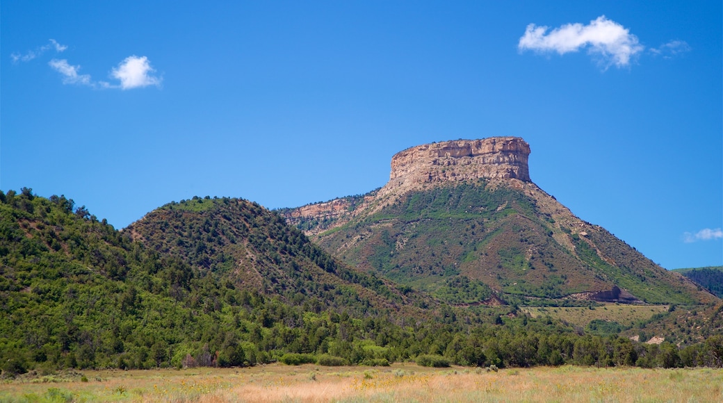 Mesa Verde National Park which includes mountains, landscape views and tranquil scenes