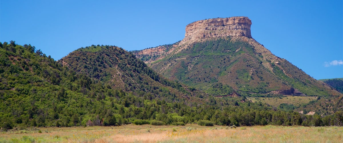 Mesa Verde National Park featuring tranquil scenes, landscape views and mountains