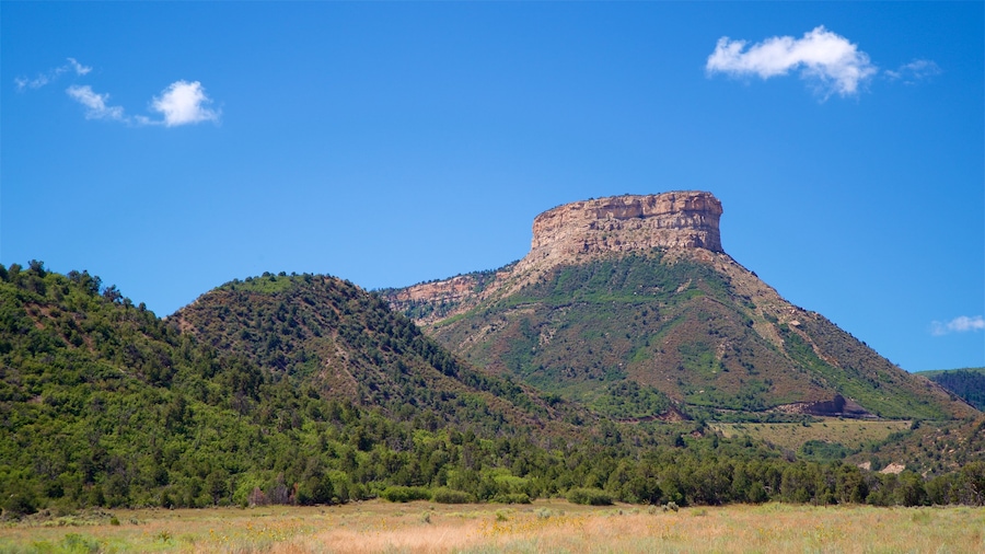 Mesa Verde National Park showing tranquil scenes, mountains and landscape views