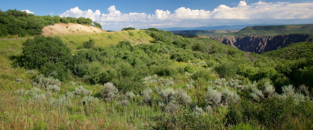 West Elk Loop which includes tranquil scenes