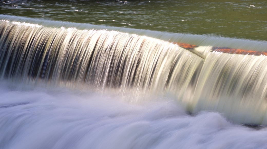 Montrose mit einem Fluss oder Bach