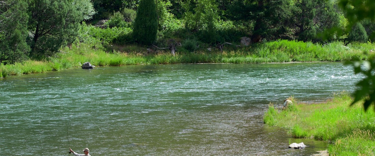 Unaweep Tabeguache Scenic and Historic Byway showing fishing and a river or creek as well as an individual male