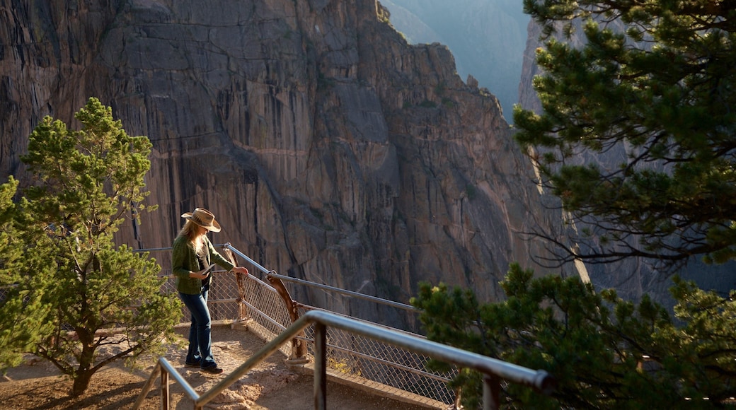 Montrose showing views and a gorge or canyon as well as an individual female