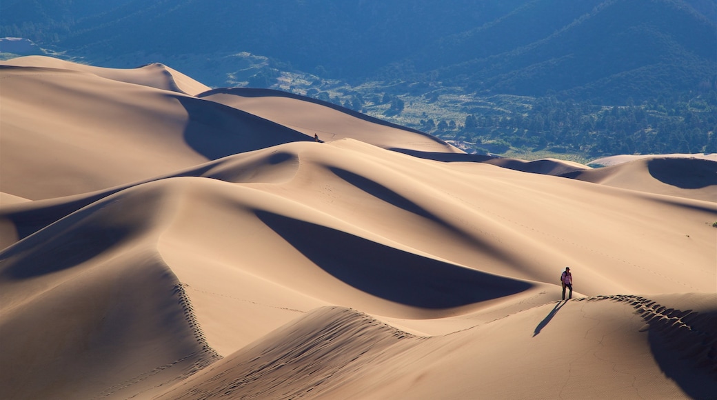 Parque Nacional Great Sand Dunes ofreciendo senderismo o caminata, escenas tranquilas y vistas al desierto