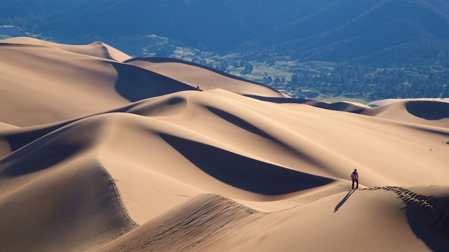 Great Sand Dunes National Park showing hiking or walking, tranquil scenes and desert views