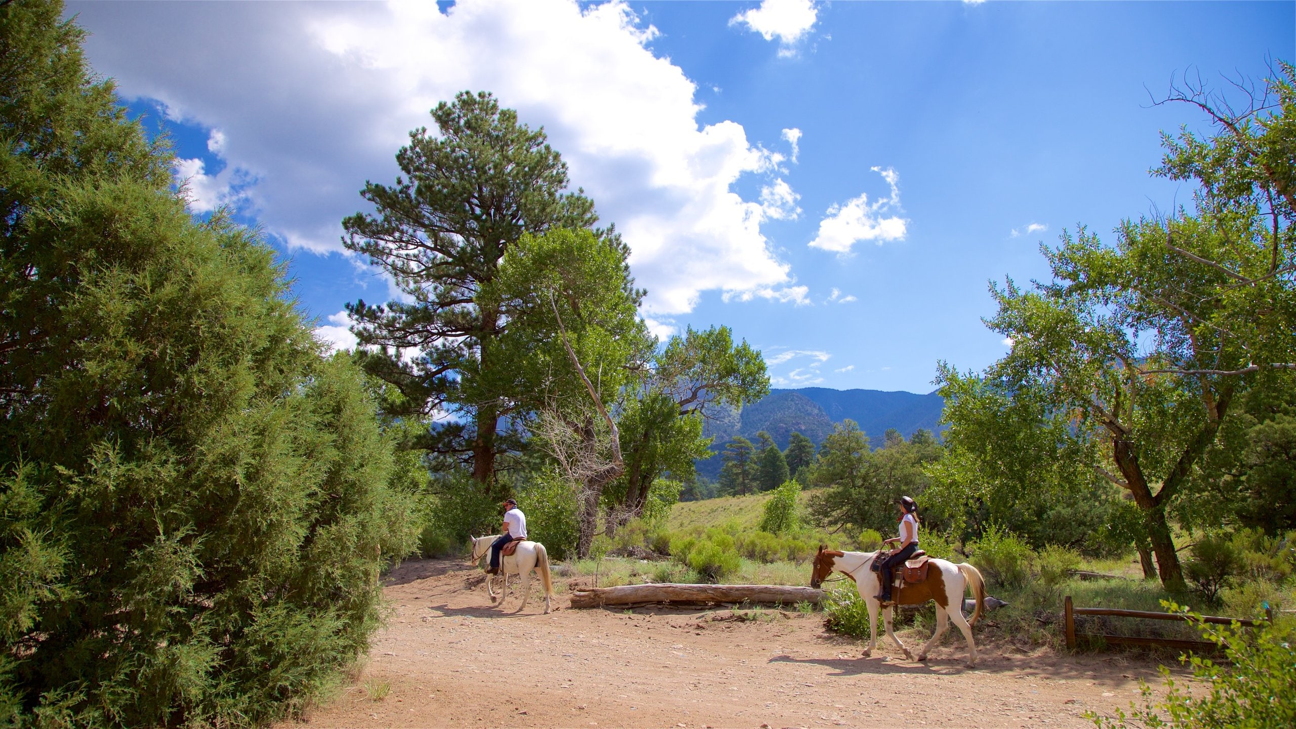 South Central Colorado, US Vacation Rentals house rentals & more Vrbo