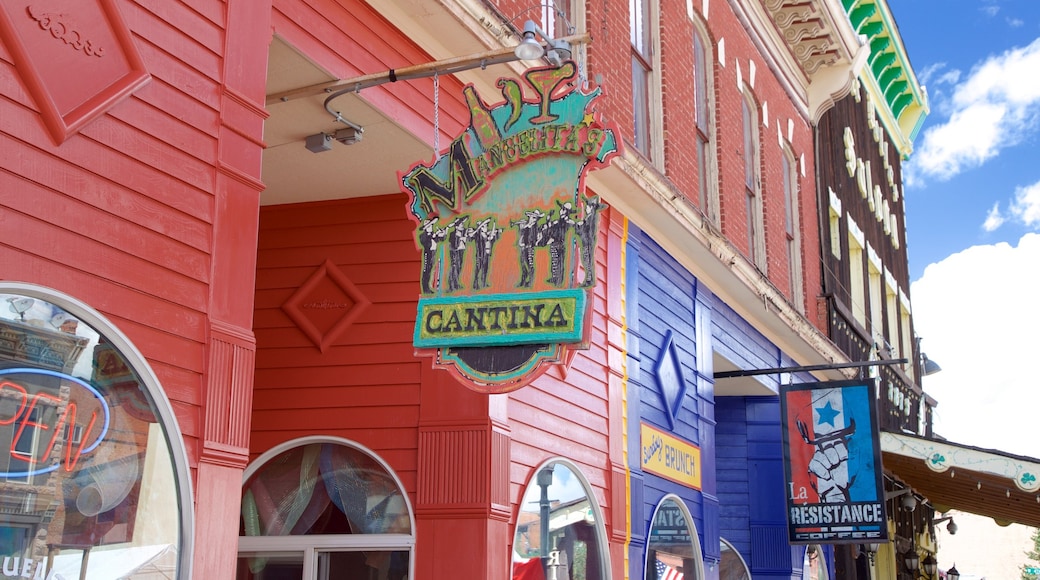 Leadville which includes signage