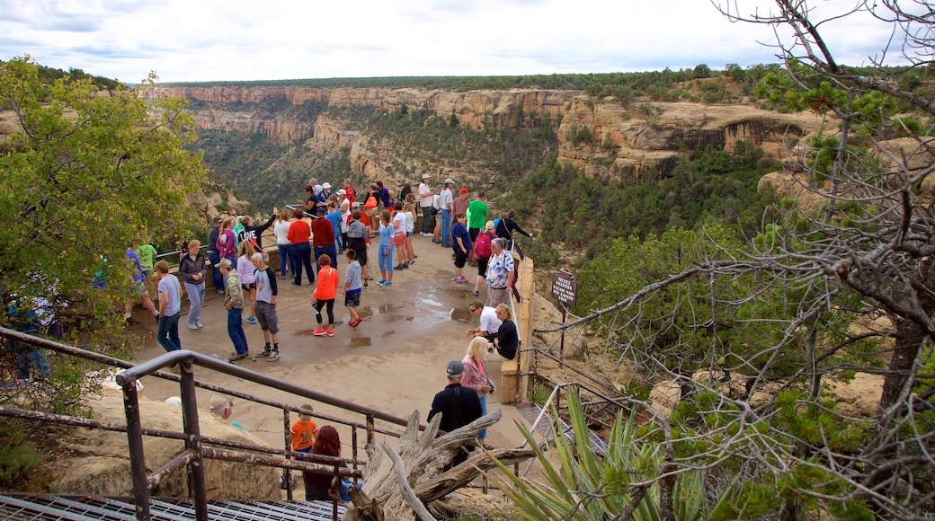 Acantilado Cliff Palace mostrando escenas tranquilas y también un pequeño grupo de personas