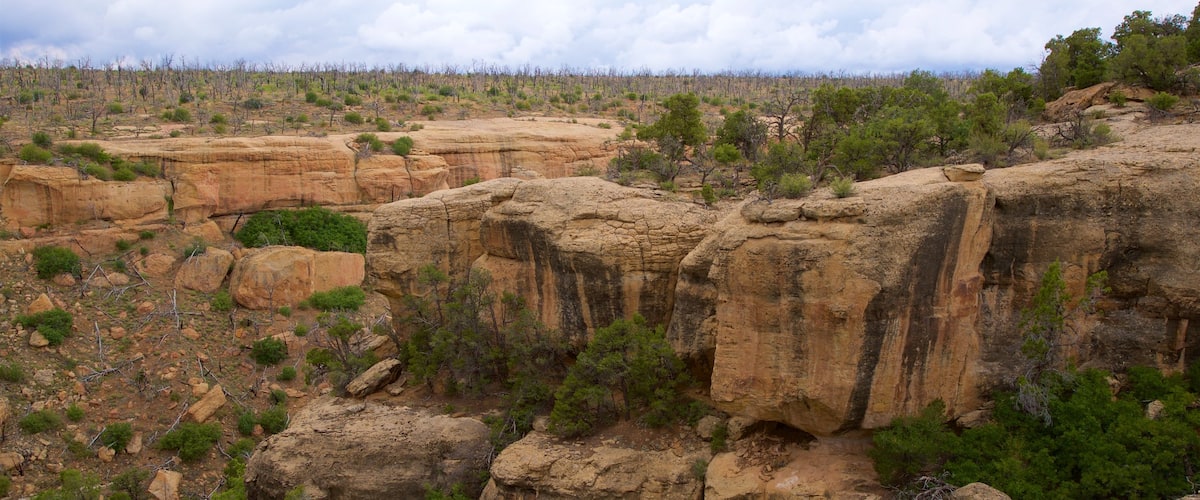 Parque Nacional Mesa Verde mostrando vistas al desierto, escenas tranquilas y vistas de paisajes