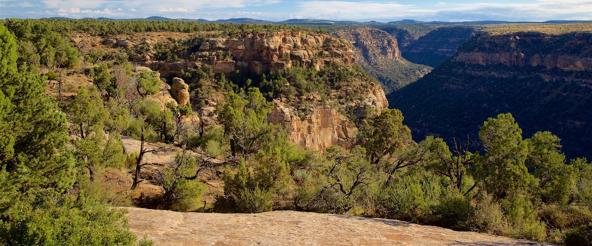 Mesa Verde National Park featuring landscape views, a gorge or canyon and tranquil scenes