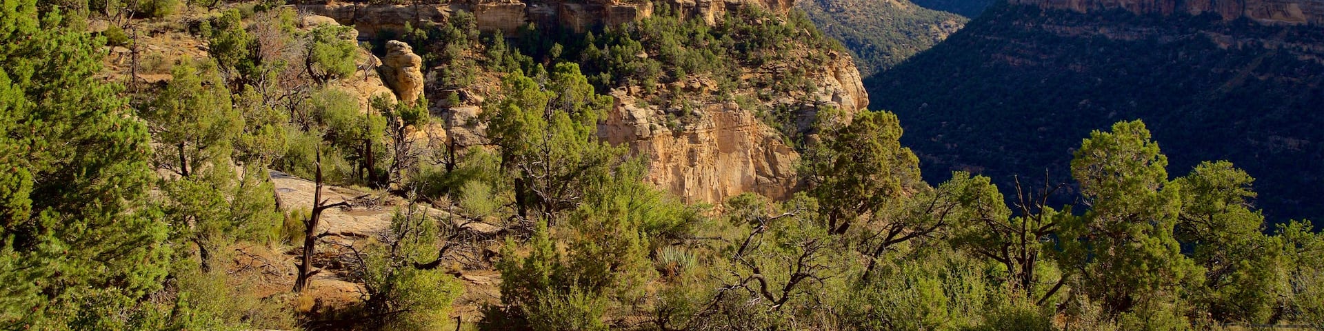Mesa Verde National Park featuring landscape views, a gorge or canyon and tranquil scenes