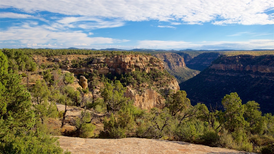 Mesa Verde National Park showing tranquil scenes, a gorge or canyon and landscape views