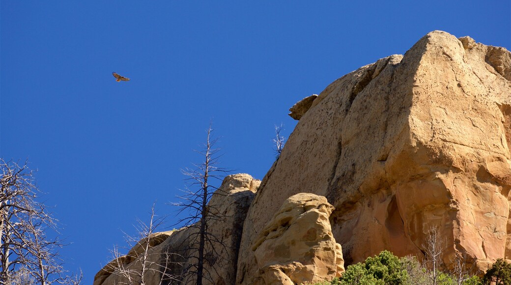 Parque Nacional Mesa Verde ofreciendo escenas tranquilas