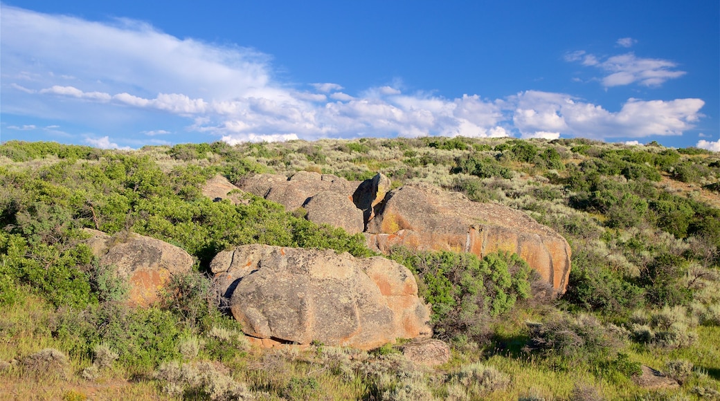 Montrose presenterar stillsam natur