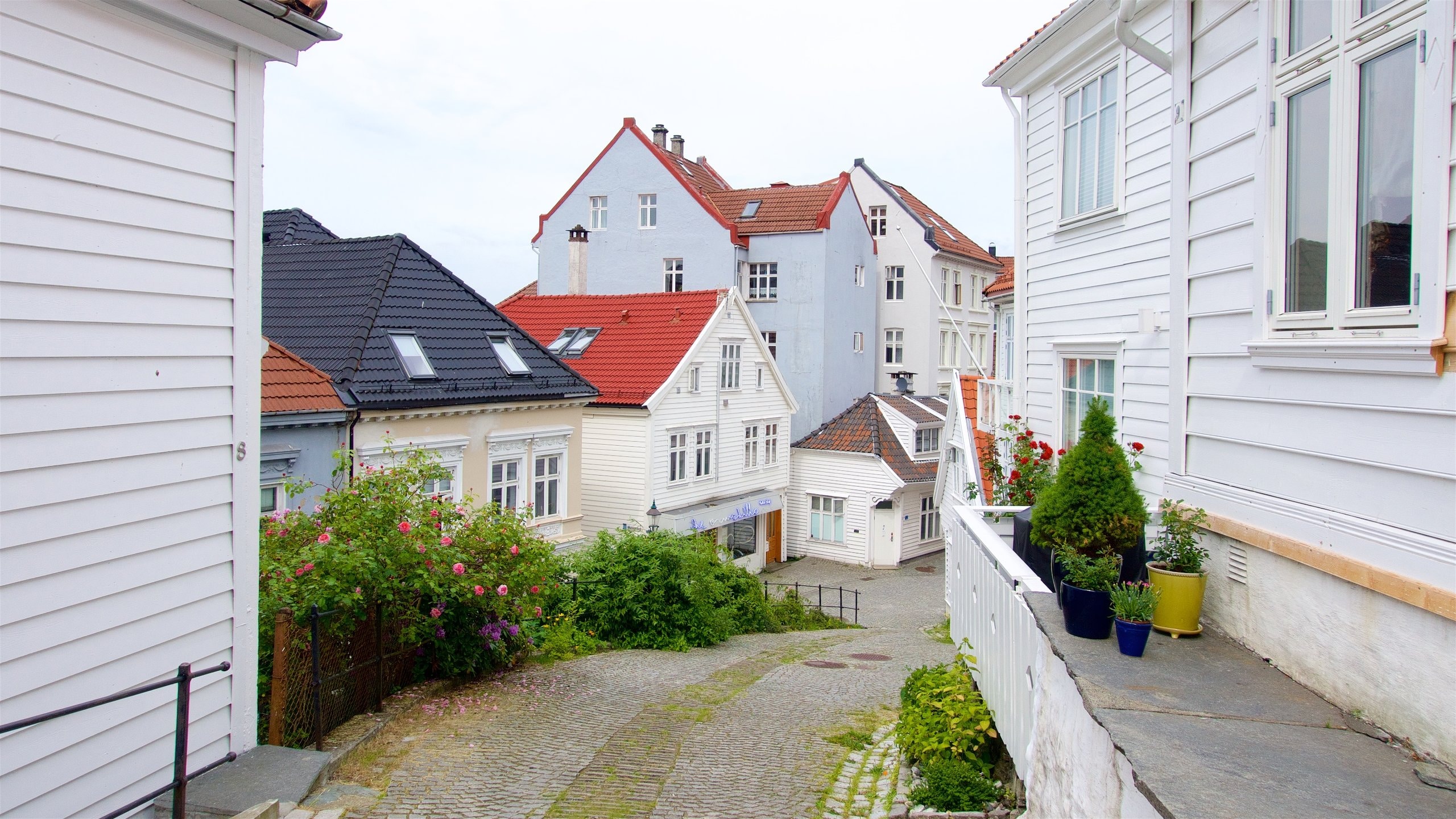 Bergen mostrando una casa