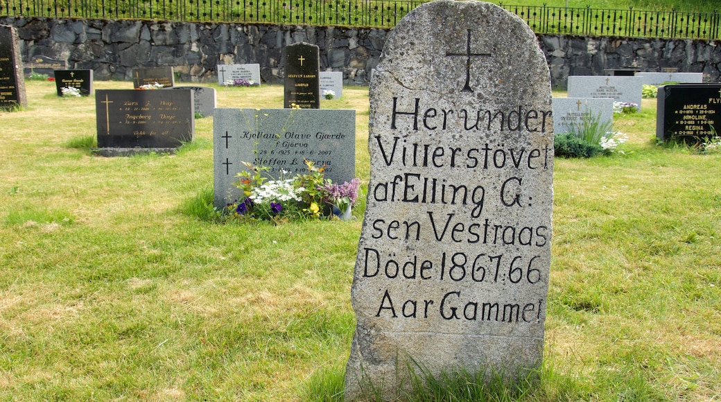 Alesund - More og Romsdal showing a cemetery