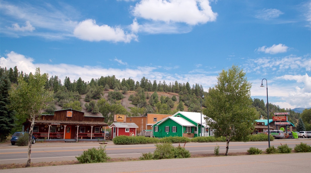 Pagosa Springs featuring a small town or village