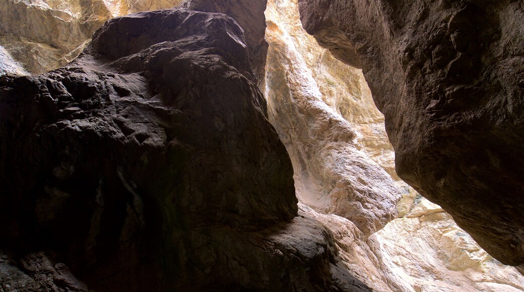 Los Caminos Antiguos showing a gorge or canyon