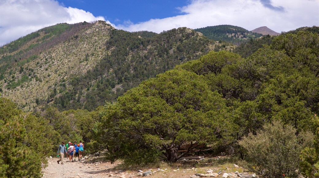 Zapata Falls showing tranquil scenes and hiking or walking as well as a small group of people