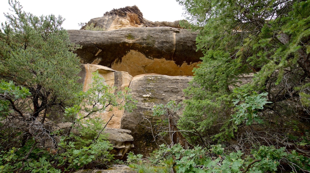 Petroglyph Point Trail showing tranquil scenes