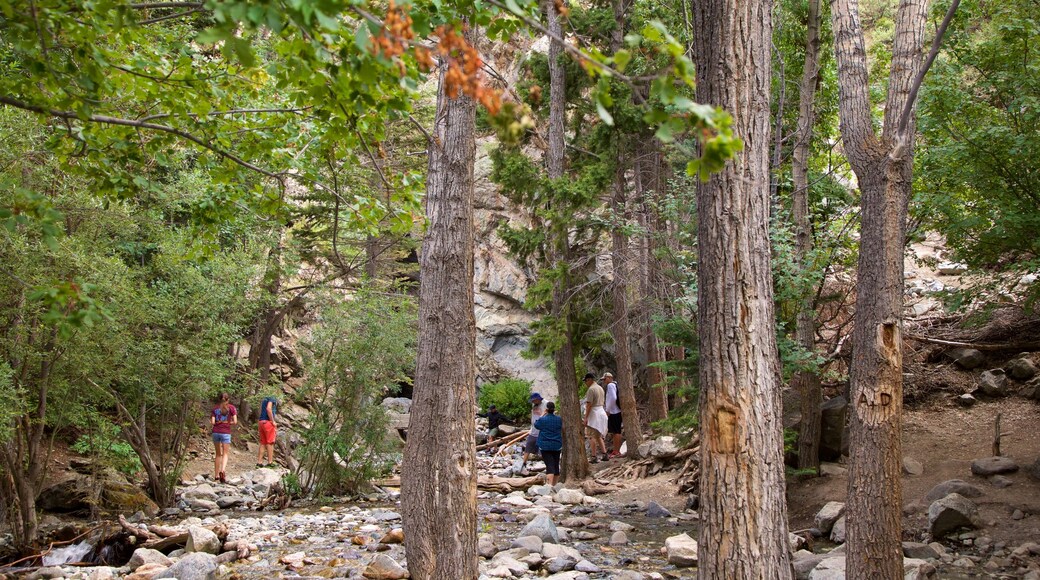 Los Caminos Antiguos which includes forests and a river or creek as well as a small group of people