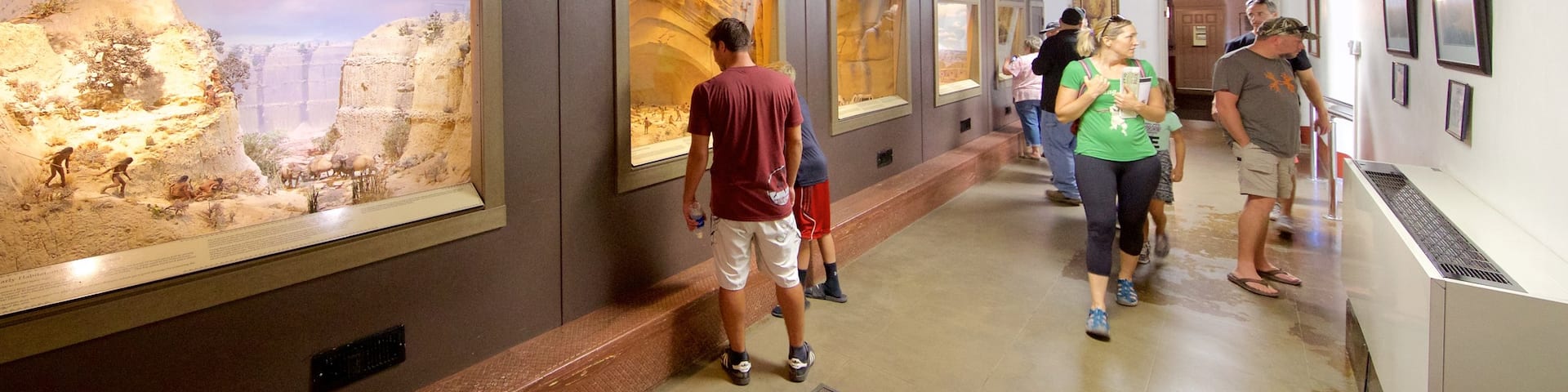 Chapin Mesa Archäologisches Museum welches beinhaltet Innenansichten sowie kleine Menschengruppe