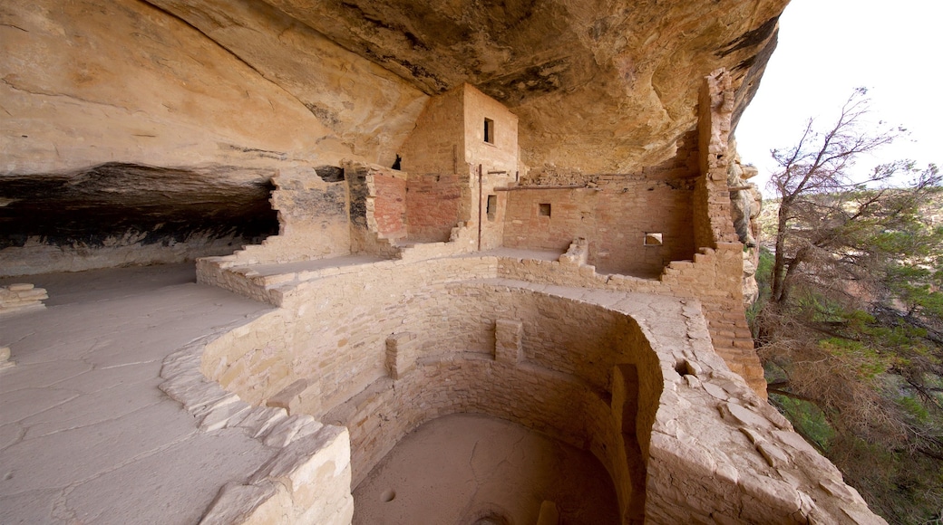 Balcony House which includes building ruins and heritage elements