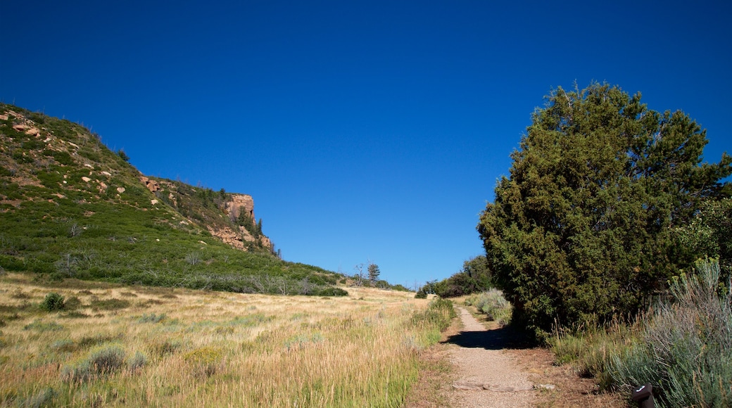 Knife Edge Trail showing tranquil scenes and landscape views