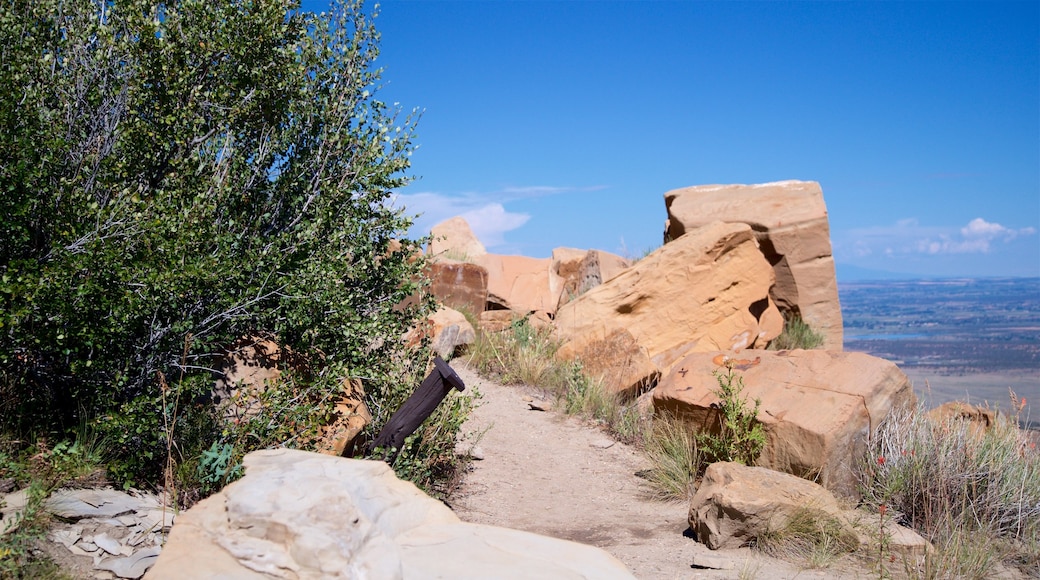 Knife Edge Trail which includes tranquil scenes