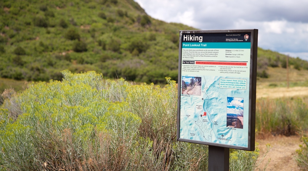 Point Lookout Trail featuring tranquil scenes and signage