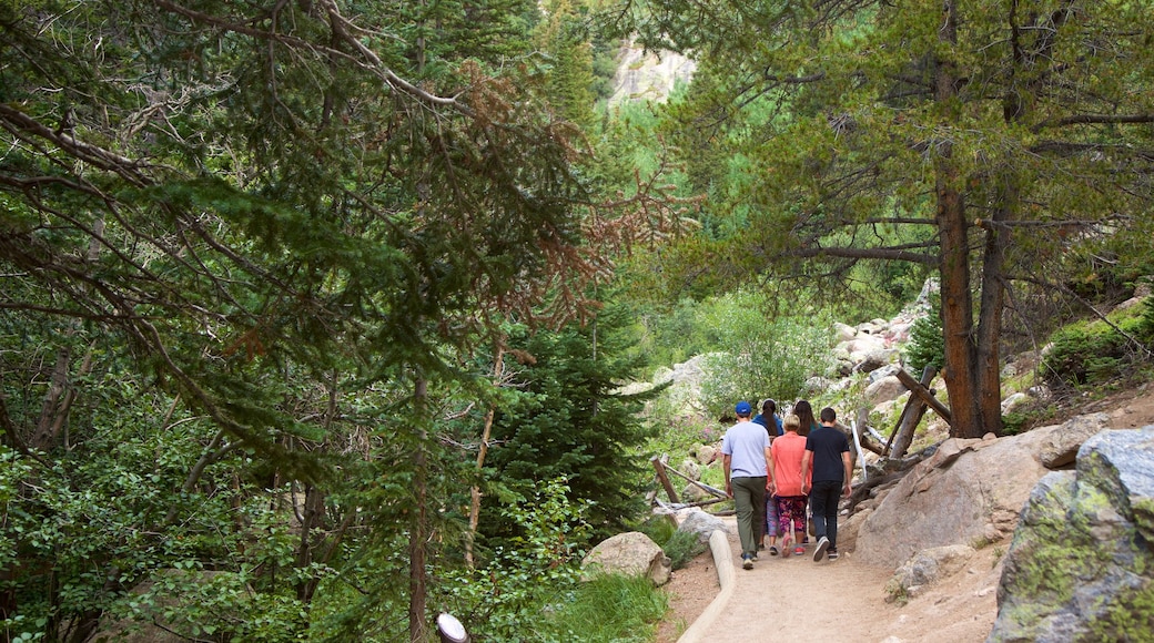 Bear Lake Trailhead featuring forest scenes as well as a small group of people