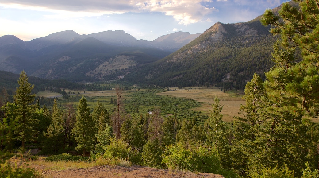 Horseshoe Park which includes tranquil scenes