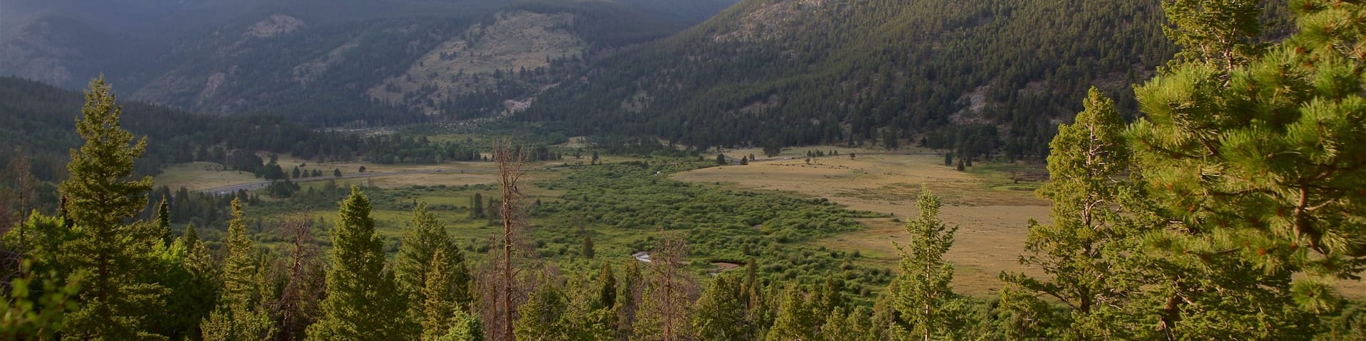 Horseshoe Park showing tranquil scenes
