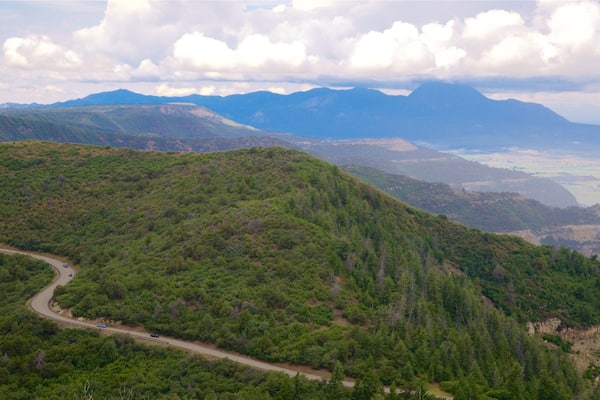 Park Point featuring landscape views and tranquil scenes