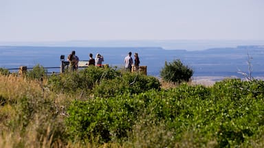 San Juan Skyway which includes tranquil scenes and views as well as a small group of people