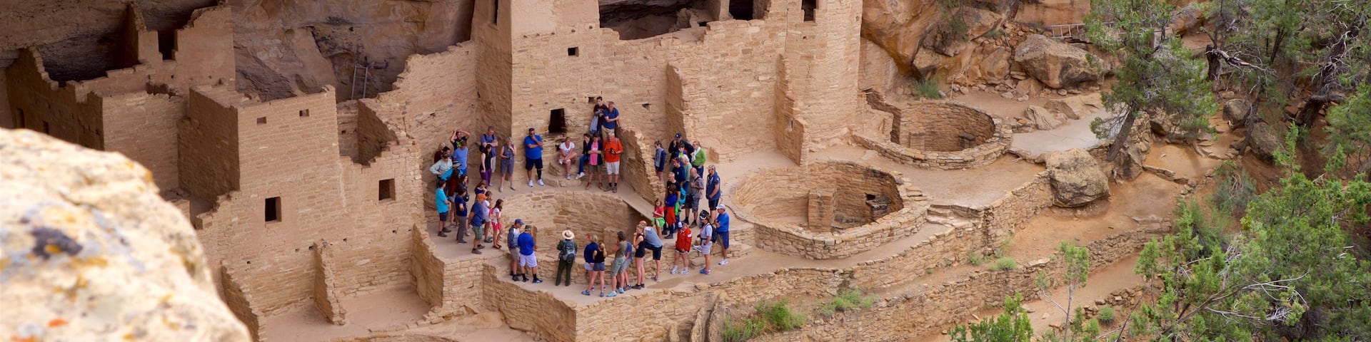 Cliff Palace showing a ruin and heritage architecture as well as a small group of people