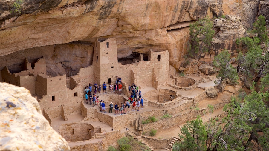 Cliff Palace welches beinhaltet historische Architektur und Ruine sowie kleine Menschengruppe