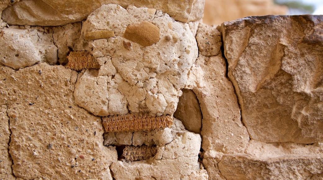 Cliff Palace featuring heritage elements