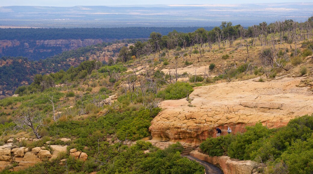 Step House Trail featuring tranquil scenes and landscape views