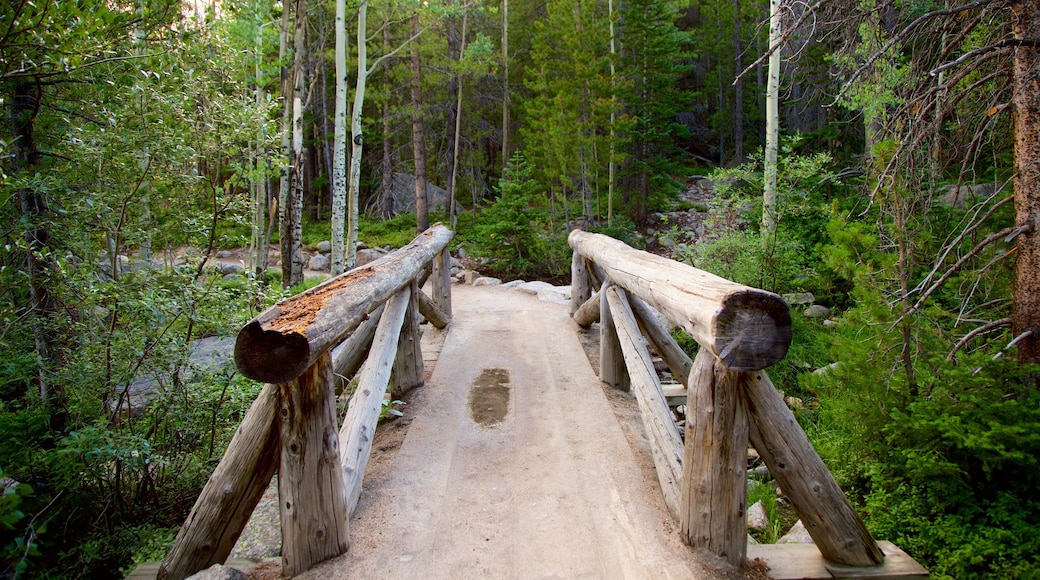 Estes Park showing a bridge and forest scenes