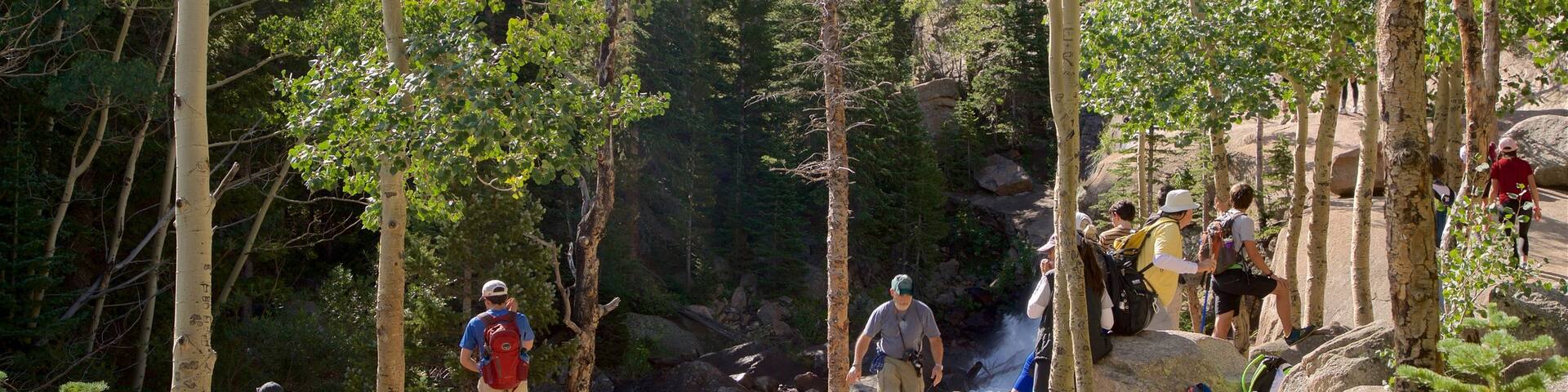 Estes Park showing hiking or walking and forests as well as a small group of people
